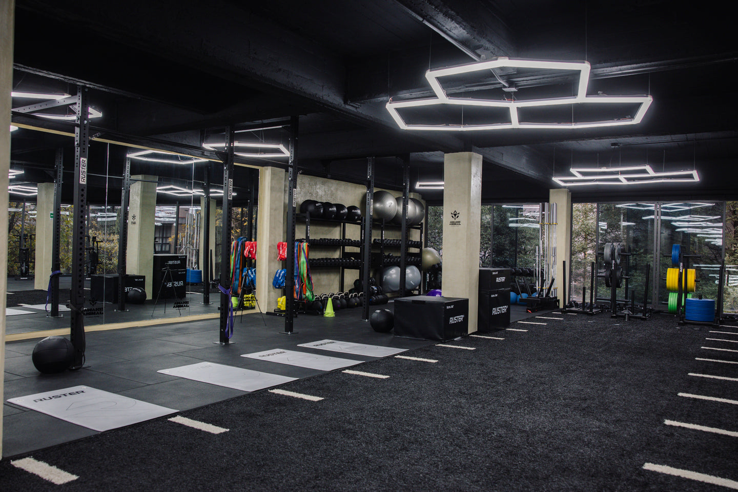 Diseñamos y equipamos gimnasios profesionales acorde a tus necesidades
