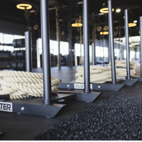 Trineo Cross-Training